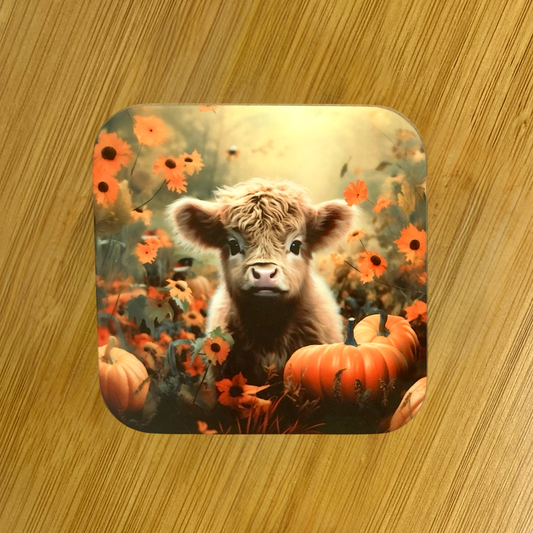 Highland Calf in Pumpkin Patch Hardboard Coaster – 3.5" Square